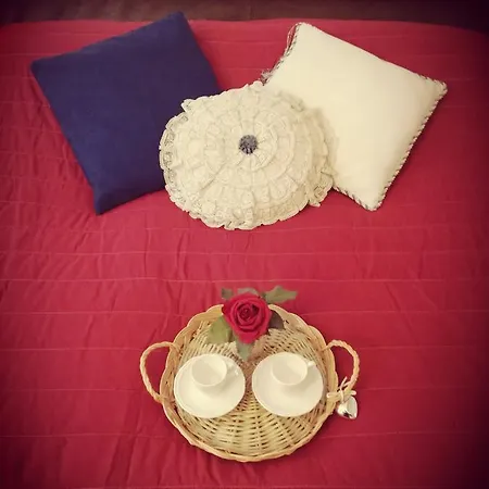 Ponte Vecchio's Nest Florence